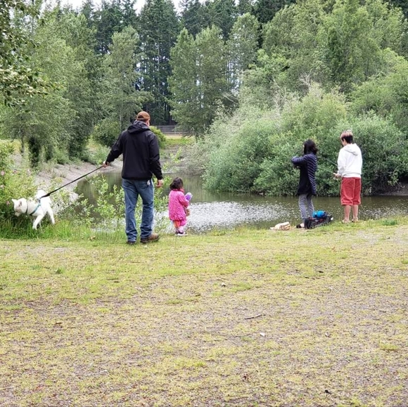 Our Crazy Life at a Glance - Picture 13 of 16